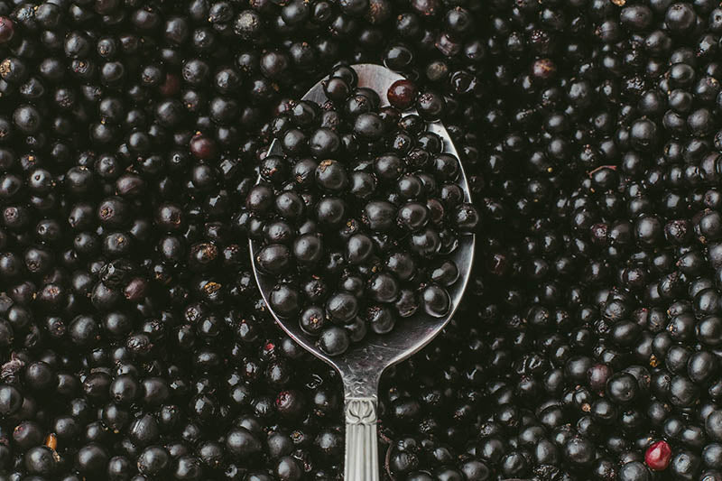 elderberries