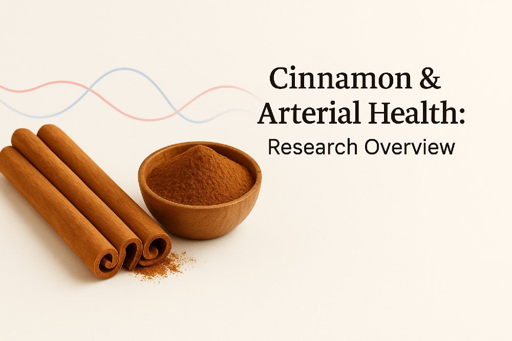 Ceylon cinnamon sticks and powdered cinnamon with abstract vascular lines and the title ‘Cinnamon & Arterial Health: Research Overview’ on a clean background.