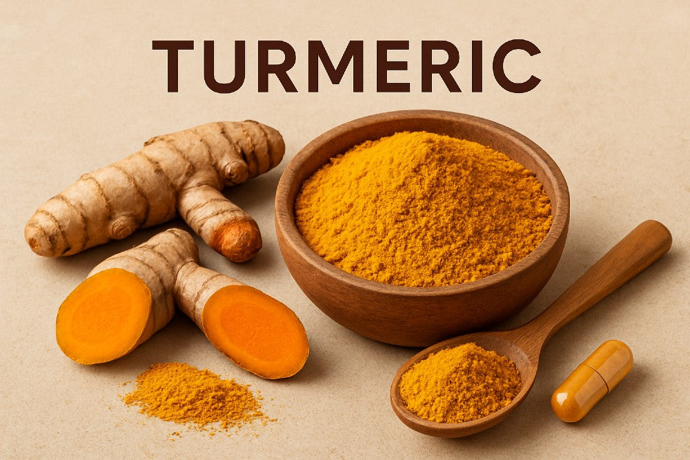 Turmeric root and turmeric powder displayed together as an overview of turmeric benefits.