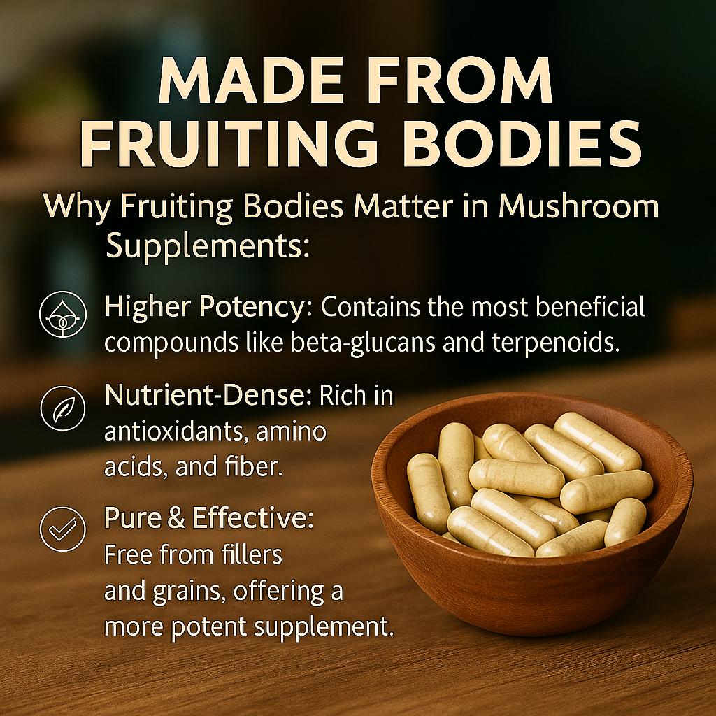 best mushroom supplement